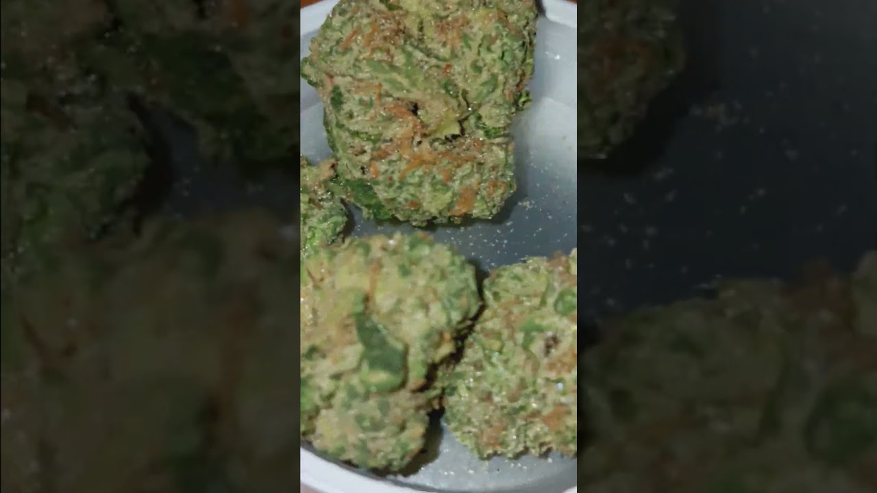 KINGS MUSTACHE BUCKEYE RELIEF 