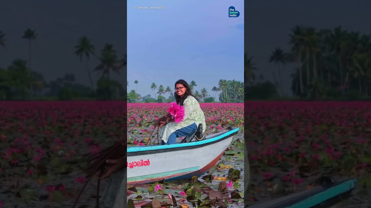 Malarikkal magic is blooming again