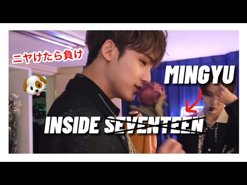 ［セブチ/ミンギュ/日本語字幕］INSIDE MINGYU 🐶