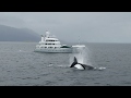 Charter Patagonia Onboard Luxury Yacht MARCATO