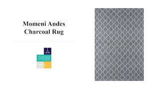 Momeni Andes Charcoal Rug - FurnishMyPlace.com