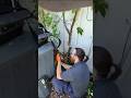 popped fuse no cool #hvac #hvactechnician #hvacr #hvacrepair #hvaclife #hvacmaintenance #shorts