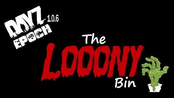 how to connect to the new epoch 1.0.6 server without a launcher