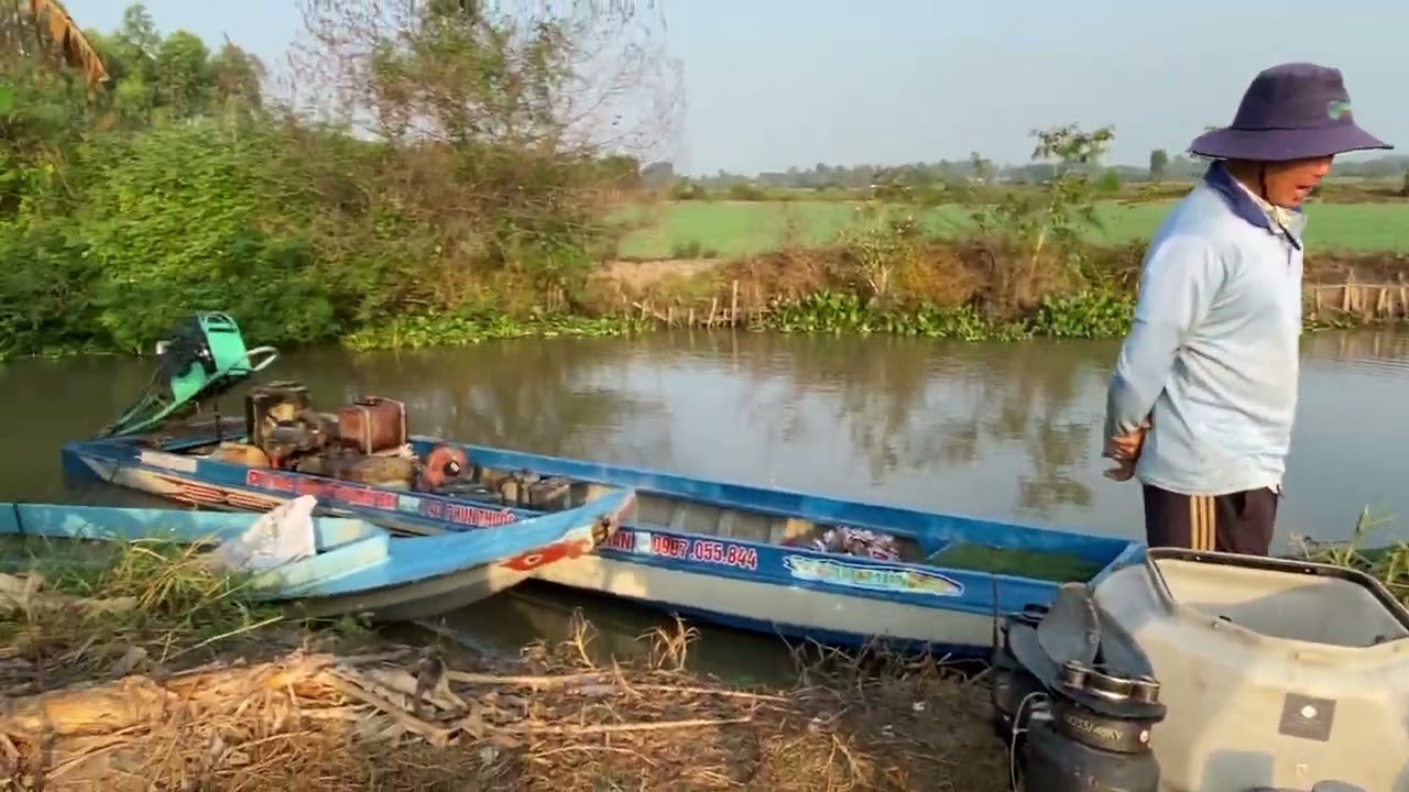 Máy bay T40 xịt thuốc bệnh đạo ôn