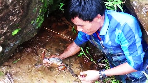 EP 3 - HUGE MUDCRABS Caught BAREHANDED - Catch n Cook - With BUTTER LEMON Sauce! | TDK