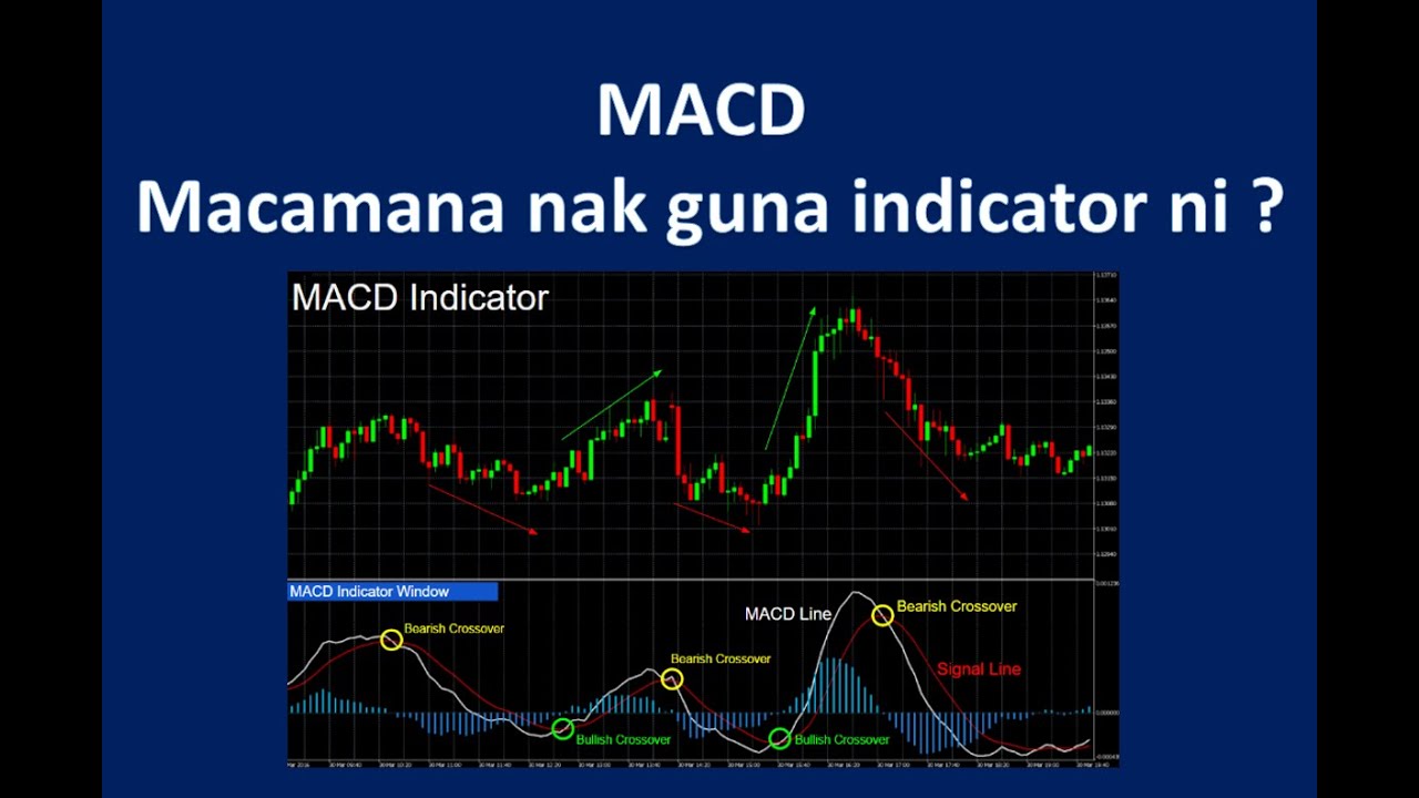 MACD Moving Average Convergence Divergence || macamana cara guna ...
