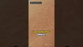 Did you know why we get goosebumps 😱 #facts #shorts