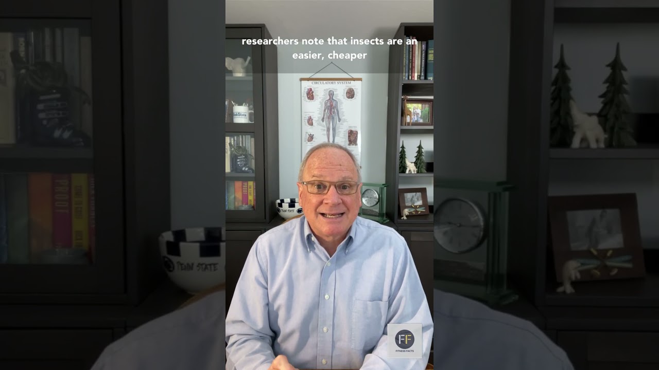 Is insect protein good for your muscles?