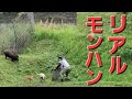 リアルモンハン 牙むく大猪 猟犬と矛と盾で猪と戦う 3ヶ月ベン 9ヵ月ベニ(前編)#猟犬育成訓練
