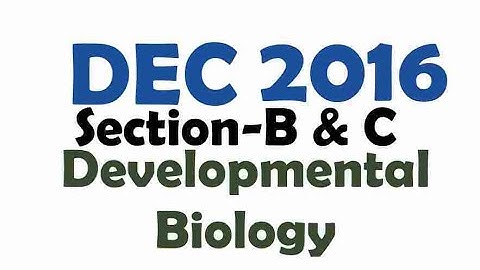 How to read/revise things from old question paper: Unit-5 (December 2016)