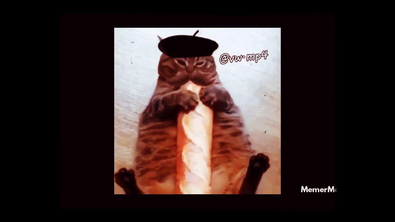 Кот с батоном мем