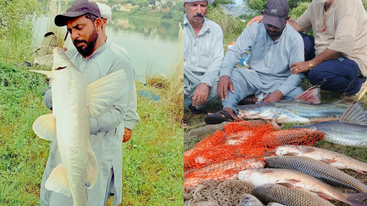 Fishing mangla dam//winners 🏆 tour//singarah//singah//tengra// aqib shikari 👑