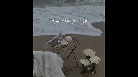 اجمل حالات واتس اب قرآن كريم💙ll تلاوة تنسيك هموم الدنيا كلها