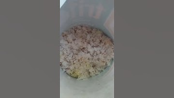 Agri vlog #1.● The making of IMO(Indigenous Micro-organism)