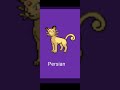 el Pokémon persian