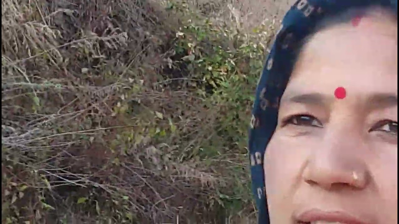 जय देव भूमि उत्तराखंड 🙏#वीडियो अच्छी लगी तो लाइक शेयर करें धन्यवाद#