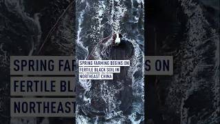 Spring farming begins on fertile black soil in northeast China