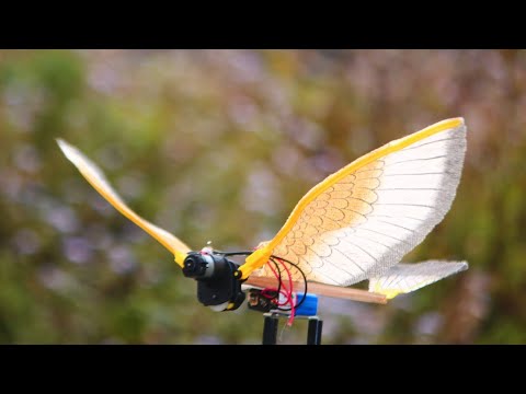 فيديو: كيفية صنع روبوت طائر