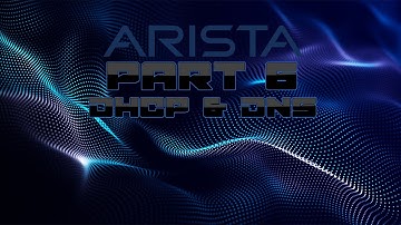 Alternative to PFSense - Arista NGFW - DHCP and DNS Explained! - Basic walkthrough - 59