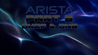 Alternative to PFSense - Arista NGFW - DHCP and DNS Explained! - Basic walkthrough - 59