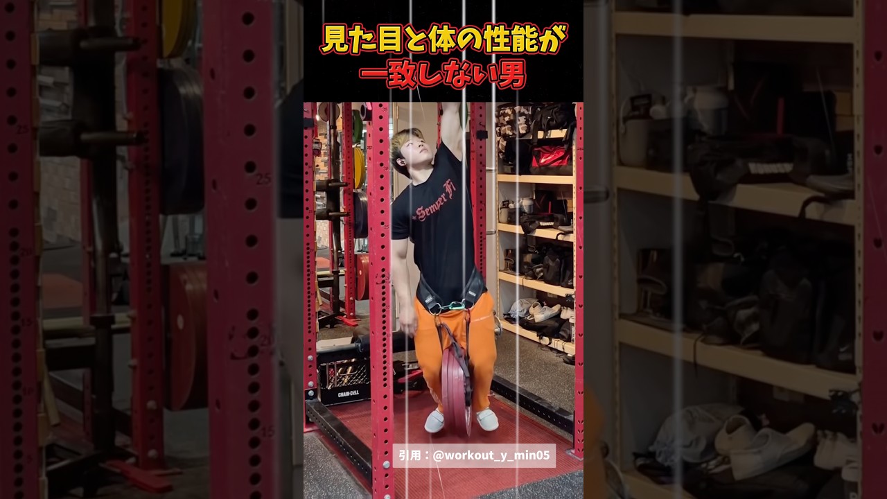 見た目と体の性能が一致しません