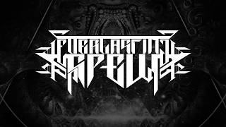 QUANTUM HIERARCHY - NEUTRON BREED (OFFICIAL NEW TRACK 2018) [EVERLASTING SPEW RECORDS]