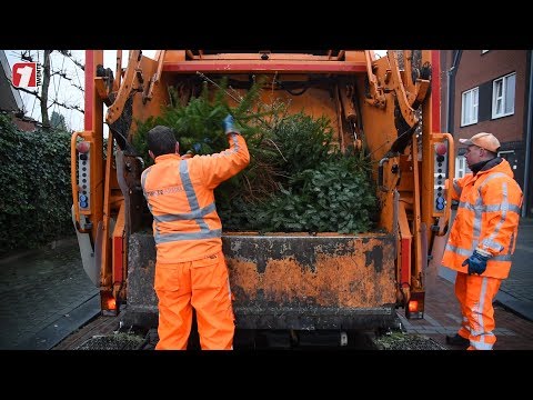 Twente Milieu haalt afgedankte kerstbomen op