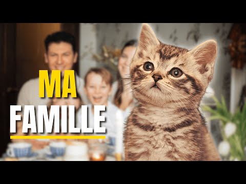 7 SIGNES QUI