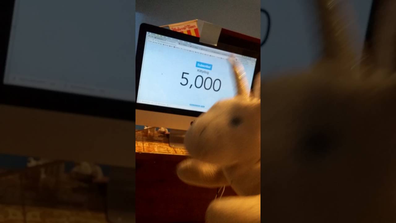 HECK - HECK
