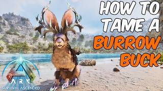 How To Tame a Burrowbuck in ARK Survival Ascended + Full Ability Guide