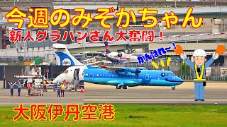 [Osaka Itami Airport] This week's Mizoka 2024.4.27 The new ground handler is working hard!