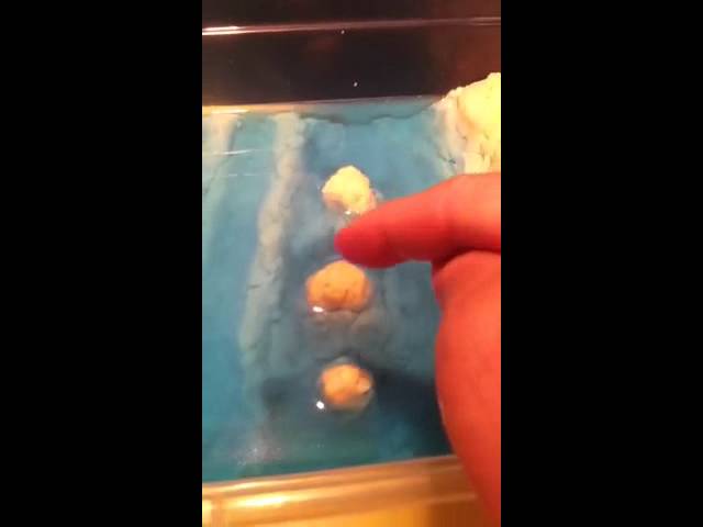 Ocean Floor Model