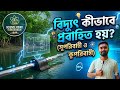 বিদ্যুৎ কীভাবে প্রবাহিত হয়?