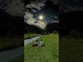 #me agar kitabo se cura ke lavu # #trending #song