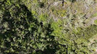 Solstice Canyon - 4/15/2026 @ 3:37pm