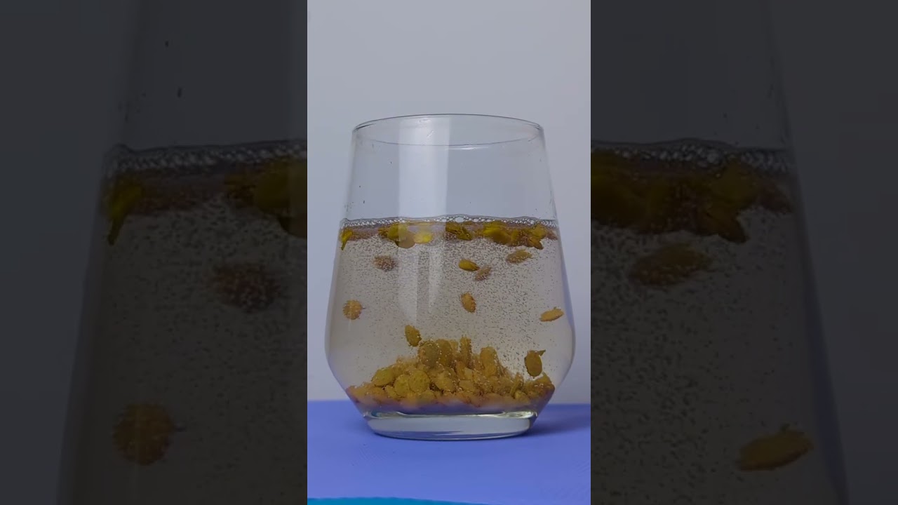 Cool Science Experiment for Kids 🥹🤩 Try it now 🤓