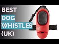 🌵 10 Best Dog Whistles