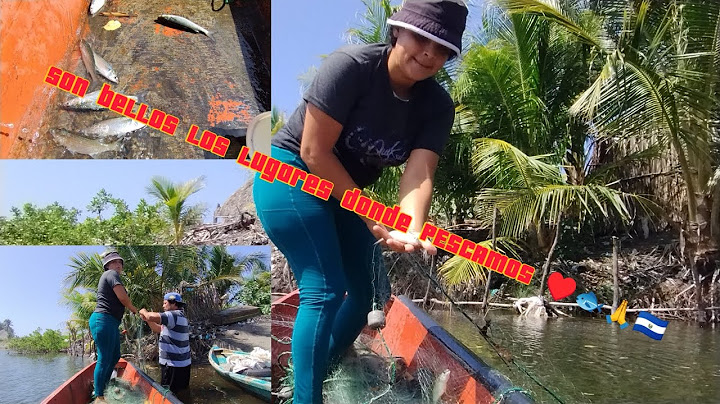 LET'S GO FISHING AND ALSO ENJOY THIS BEAUTIFUL LANDSCAPE 🐟🙏🐠🐠🐟🙏🇸🇻