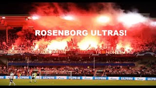 ROSENBORG BK ULTRAS - BEST MOMENTS! [NORWAY]
