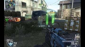 Double swarm ....Black Ops 2...