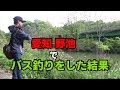 愛知の野池でバスを釣りまくろうとした結果・・・