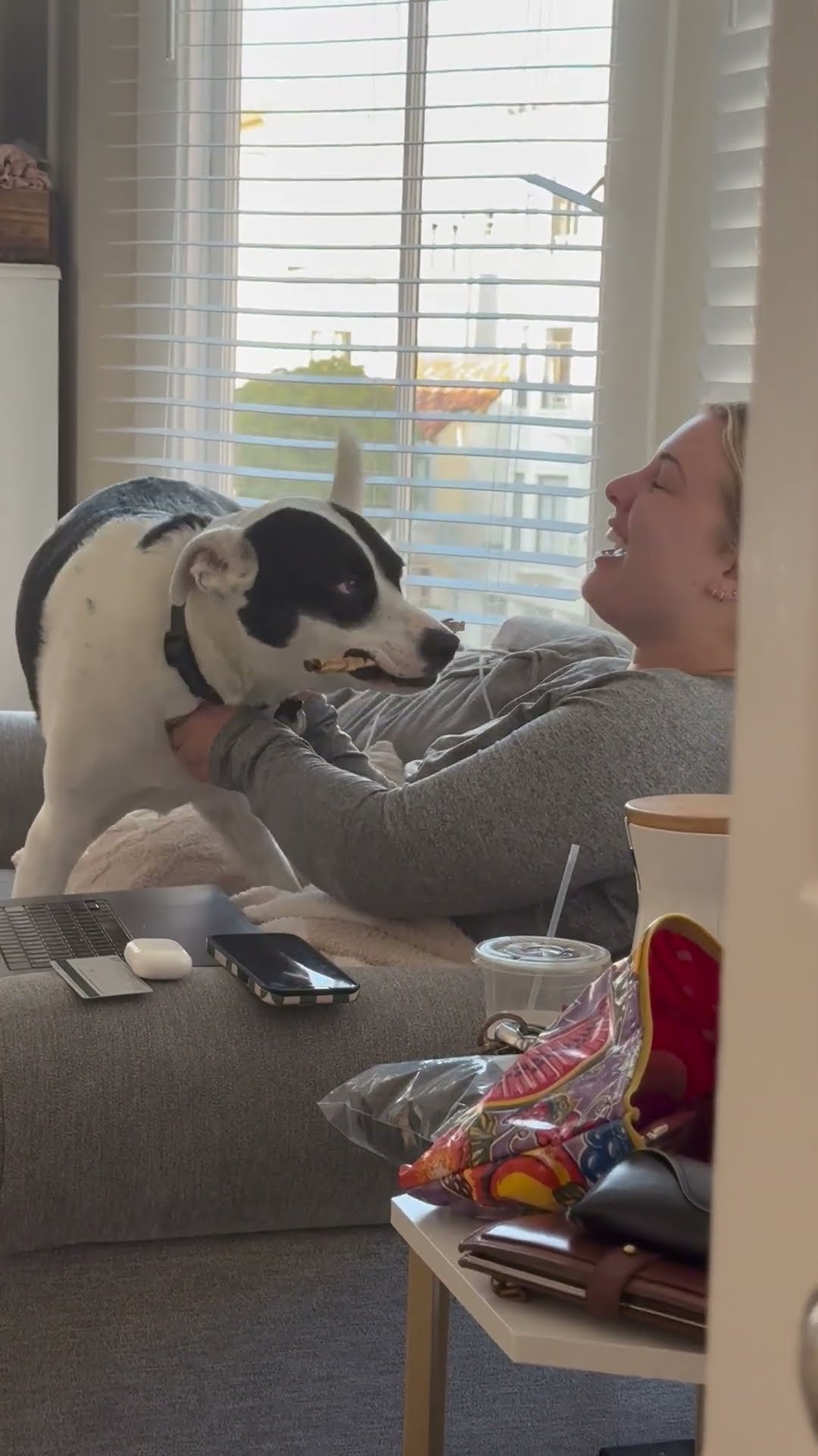 Dog Interrupts Zoom Meeting || ViralHog