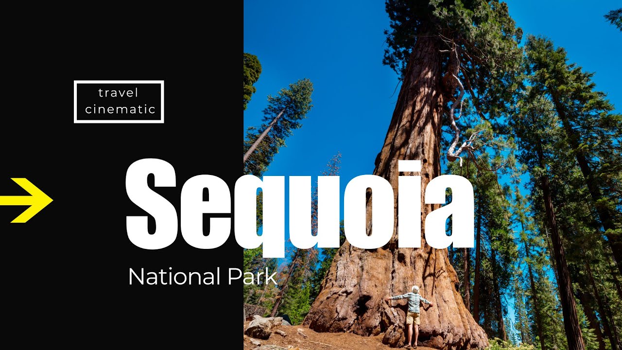 Sequoia National Park, California, USA