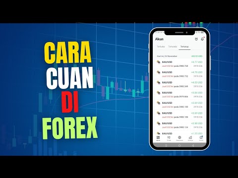 Cara Cuan di Forex untuk Pemula