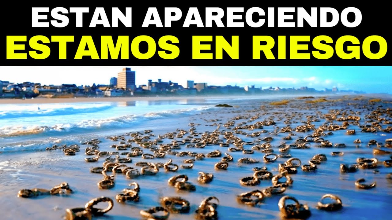 20 Cosas Más Extrañas Descubiertas Después De Un Tsunami