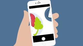 Details July 2016:May 2016: Snap and capture expense receipts | AUS News