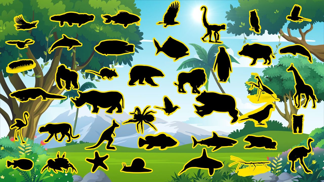 🐾 Adivinhe a Sombra dos 41 Animais – Só os Gênios Acertam Todos! 😱