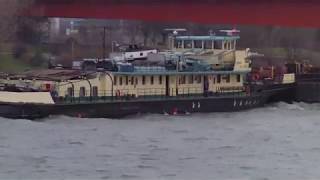 Towboat RUŽÍN , in Wien