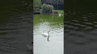 Mutluluğu Uzaklarda Aramayın O Sizin Yureğinizde ....Ğu