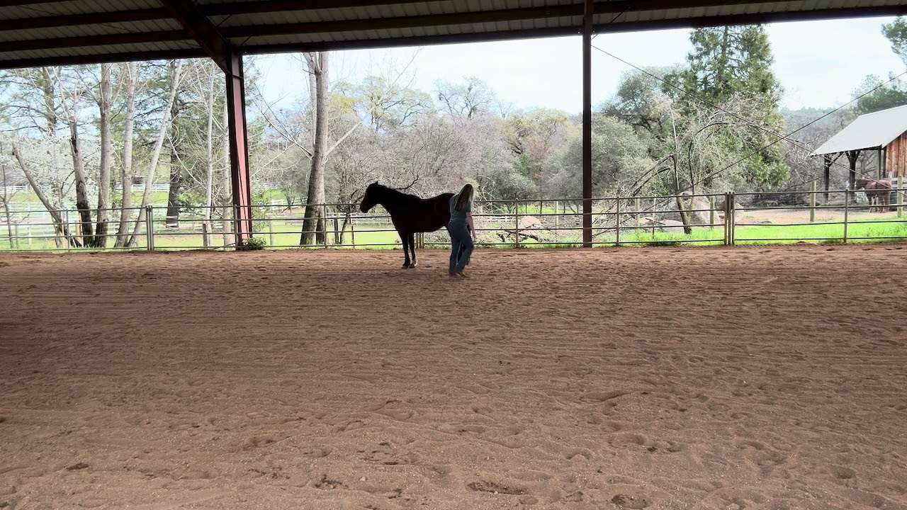 NL video 1 Westin and Heather